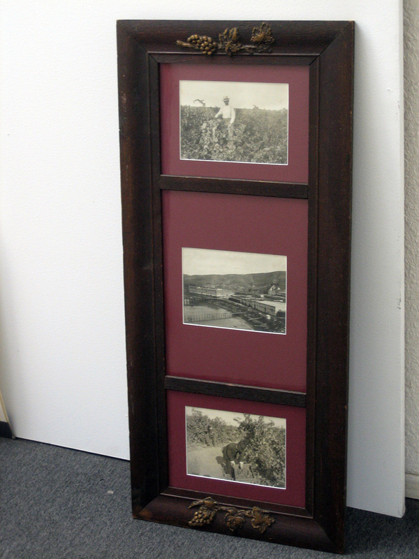 Framed Tryptich of Calwa Photos