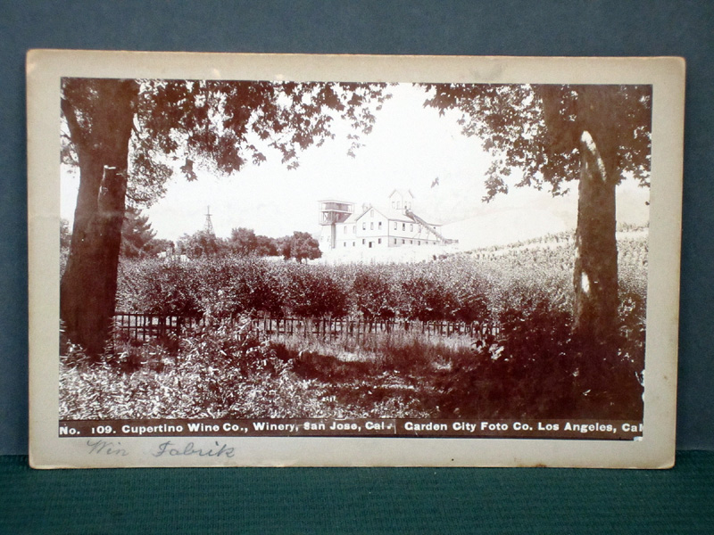 Cupertino Winery Photo C.1900